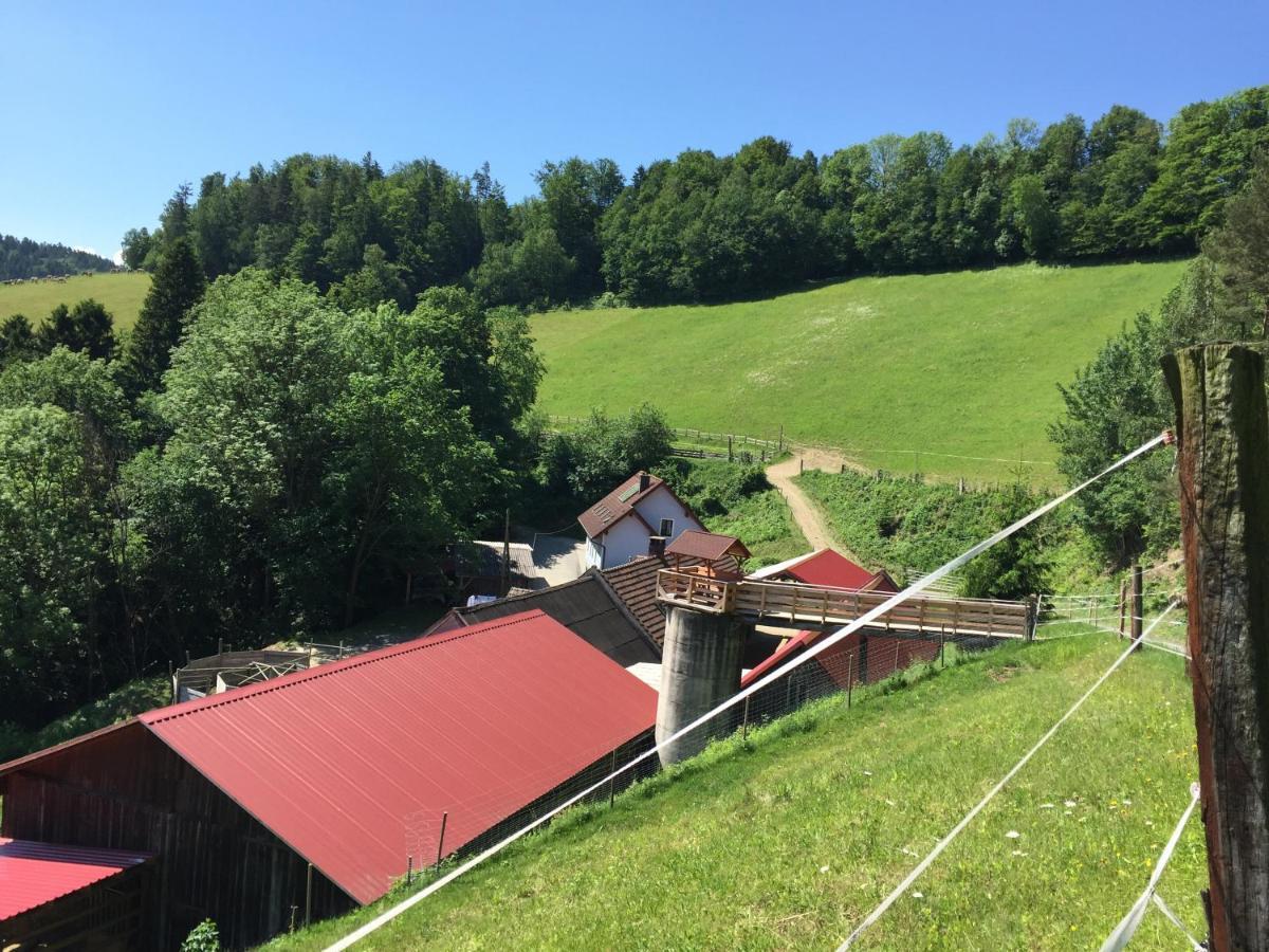 Haflingerhof Luef Bad Schönau Exterior foto