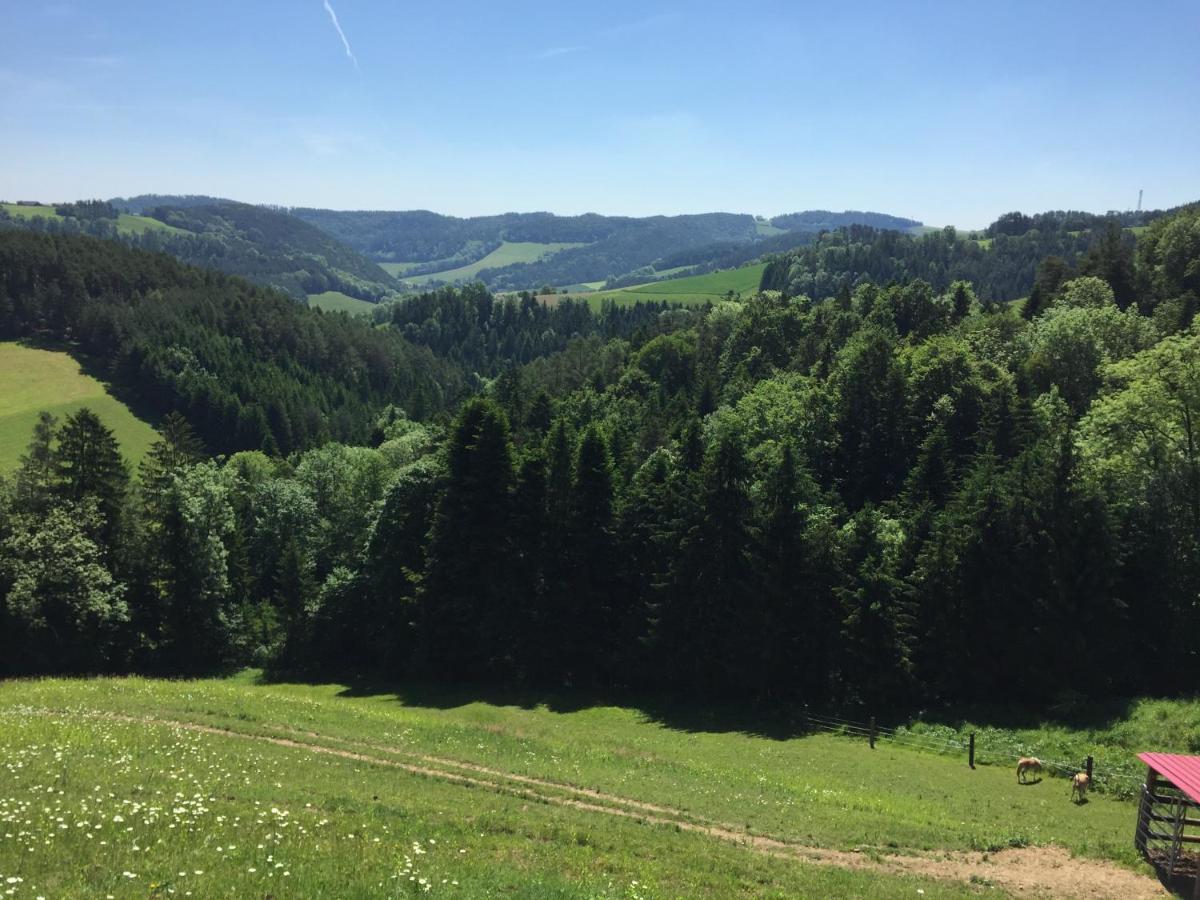 Haflingerhof Luef Bad Schönau Exterior foto