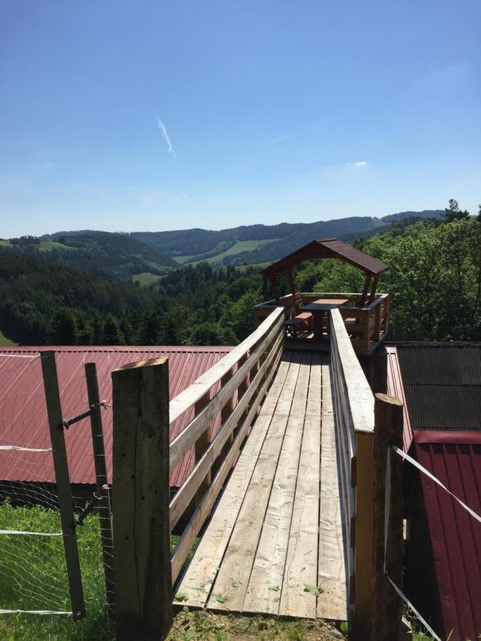 Haflingerhof Luef Bad Schönau Exterior foto